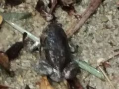 -聚龙山公园