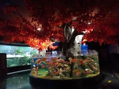 -成都浩海立方海洋公园