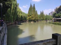 -温江公园