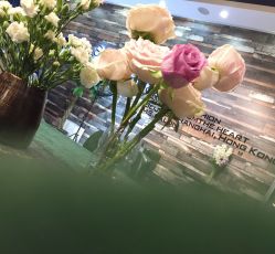 -MS.SALON美发沙龙