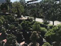 -东芭乐园