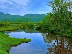 -大九湖