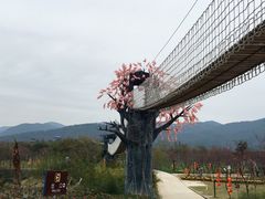 -天适樱花悠乐园