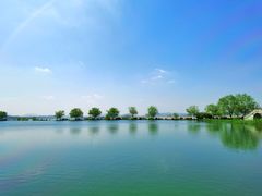 -横山鱼头馆(张横路店)