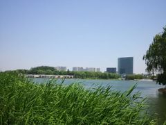 -大兴滨河森林公园