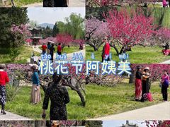 -北京植物园南门售票处