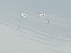 -兰湘子·湘菜小炒(三桥万象城店)