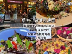 -西双版纳原始森林公园
