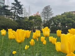 -静安公园(静安寺街道)