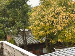 -北平花园·MUA摩造汉堡·北平咖啡(南锣鼓巷胡同店)