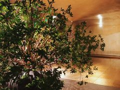 -隐溪茶馆(静安寺店)