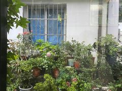 -家烧面馆【南山路知名经典面食】