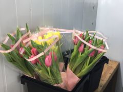 -循礼门鲜花花市(武汉循礼门店)