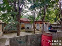 -东湖小天池真人CS彩弹野战基地