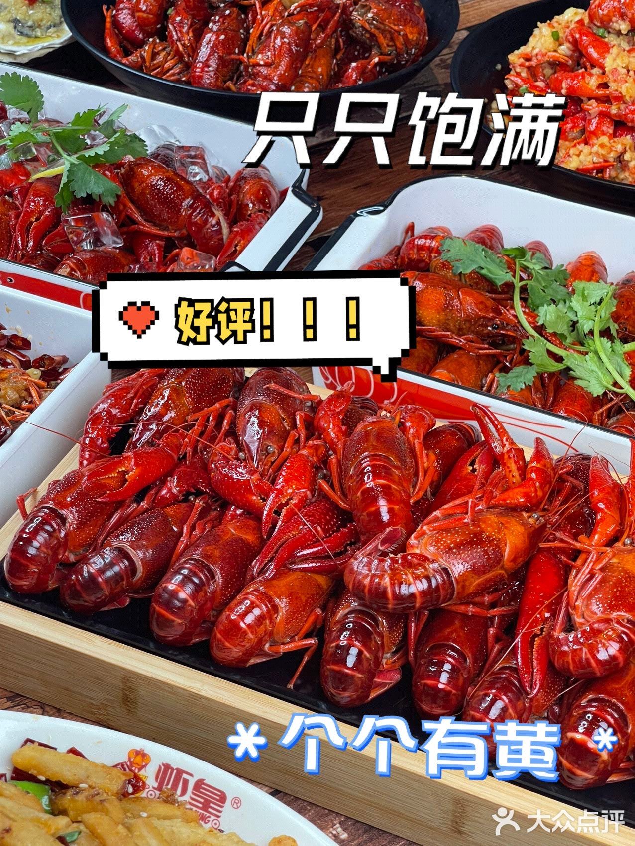 咱就是说 你永远可以相信虾皇