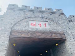 -新概念来凤鱼(璧山店)