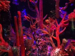 -沈阳海洋探索中心