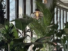 -the rug 飞毯 (朝阳公园店)