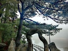 -庐山风景区花径公园