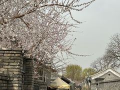 -春风习习