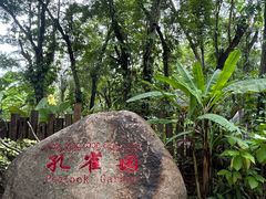 -西双版纳傣族园