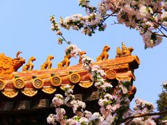 -故宫博物院(故宫)