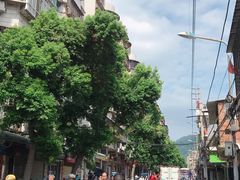 -忠记姜母鸭