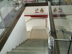 -美育儿童音乐舞蹈国际机构(浦东分校)