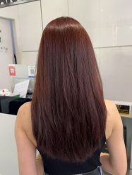 -天使之手