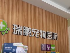 -瑞鹏宠物医院·骨科·猫科·内科(第一中心)