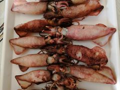 -大连海鲜斑鱼火锅(安平店)