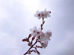 -月湖风景区