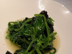 -桂满陇·海市蜃楼·黑金(国金店)