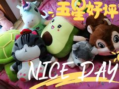 -PAWTOY爪e玩偶店(天兴罗斯福店)