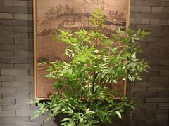 -湊湊火锅·茶憩(和平大悦城店)