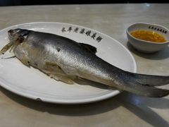 -长平老姿娘夜粥(平东一街店)