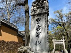 -灵谷景区