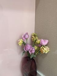 -加减美医美连锁品牌