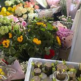 青岛隐藏的星星集市✨✨