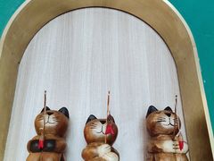 -飞行喵MR PILOT|猫舍·猫咖(静安大融城店)