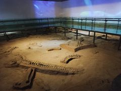-中国西峡恐龙遗迹园
