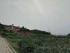 -大连北马山庄