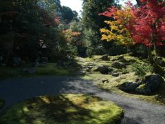 -醍醐寺