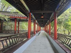 -南汇桃花村