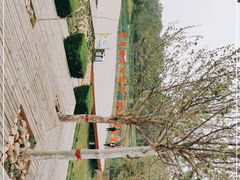 -潇河湿地公园