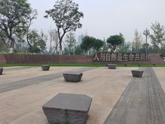 -桂溪生态公园