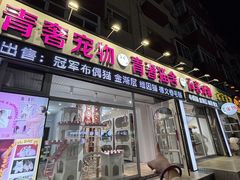 -青奢宠物·青奢猫舍