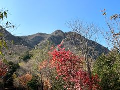 -北京鹫峰国家森林公园