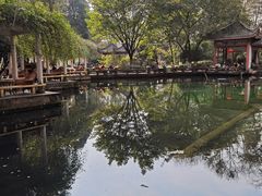 -温江公园