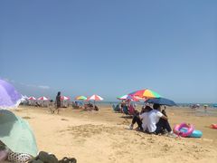 -日照海滨国家森林公园